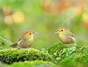 sue hsu's photo